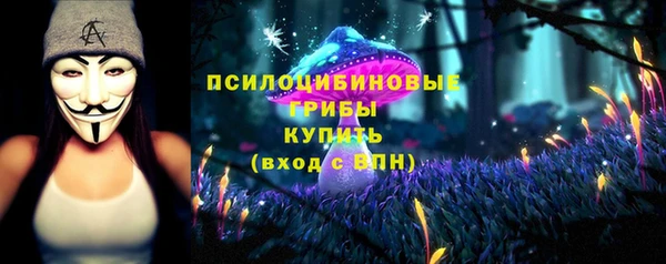тгк Балахна