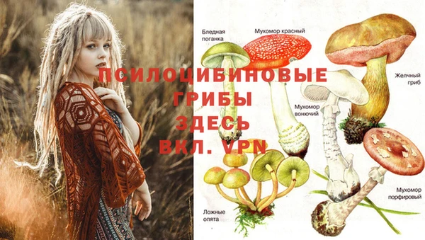 мяу мяу мука Балабаново
