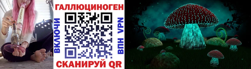 Псилоцибиновые грибы MAGIC MUSHROOMS  Отрадная 